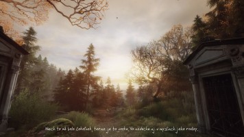 The Vanishing of Ethan Carter